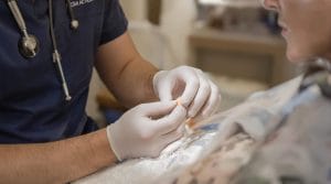 Balanoposthite de Zoon : symptômes et solutions efficaces
