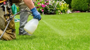 Roundup glyphosate : analyses et astuces pour bien choisir