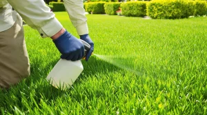 glyphosate 360 : astuces efficaces pour un désherbage réussi